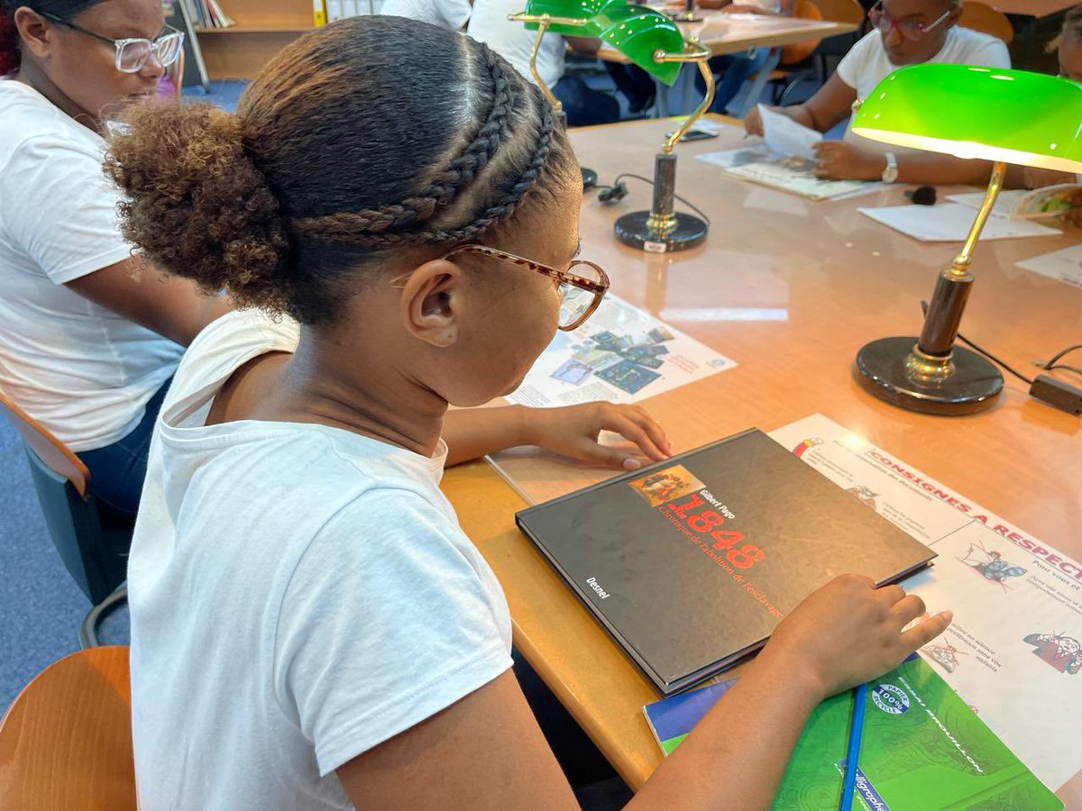 Collège Louis Delgrès tweet media