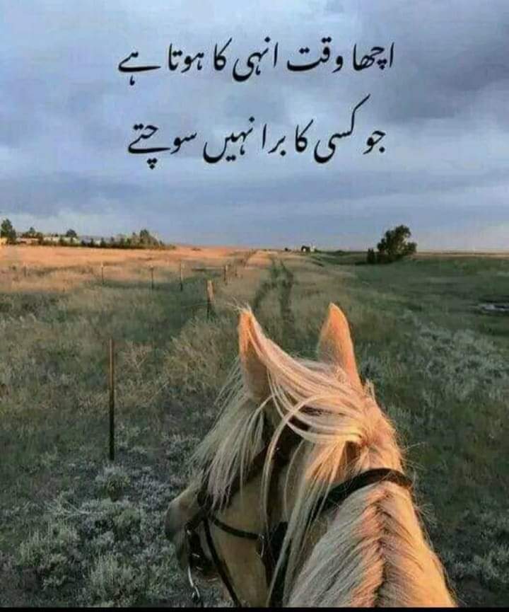 Assalam o Alaikum x family

Subha bakhair🌻

Have good day

#KateMiddleton #KIZILGONCALAR #كيت_ميدلتون #BBMzansi