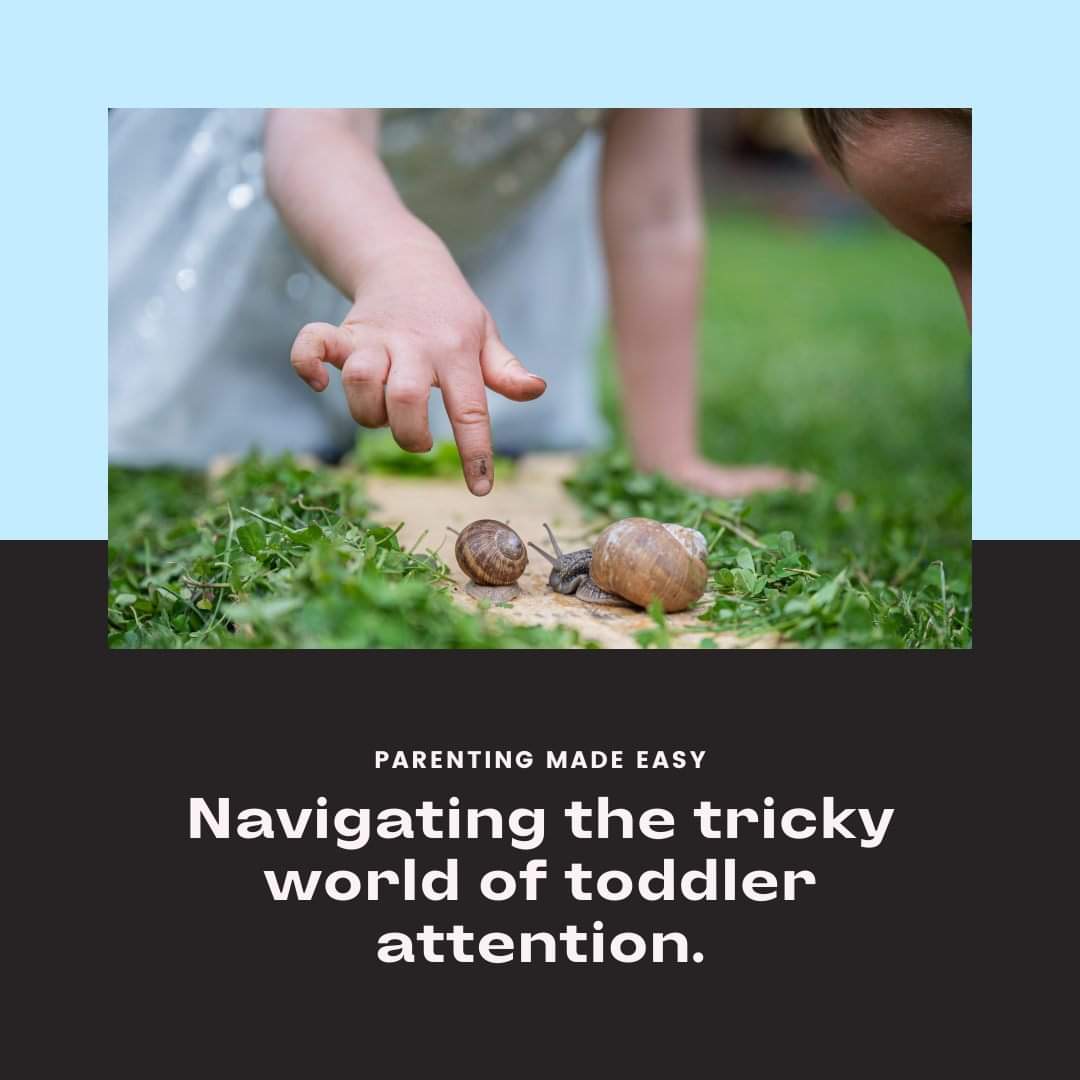 Can we just take a moment to commiserate over one of the most frustrating parts of toddlerhood?

#parenting  
#ATTENTION 
#toddlers 
#NavigatingSuccess 

hunnyhiive.com/toddlers-seem-…