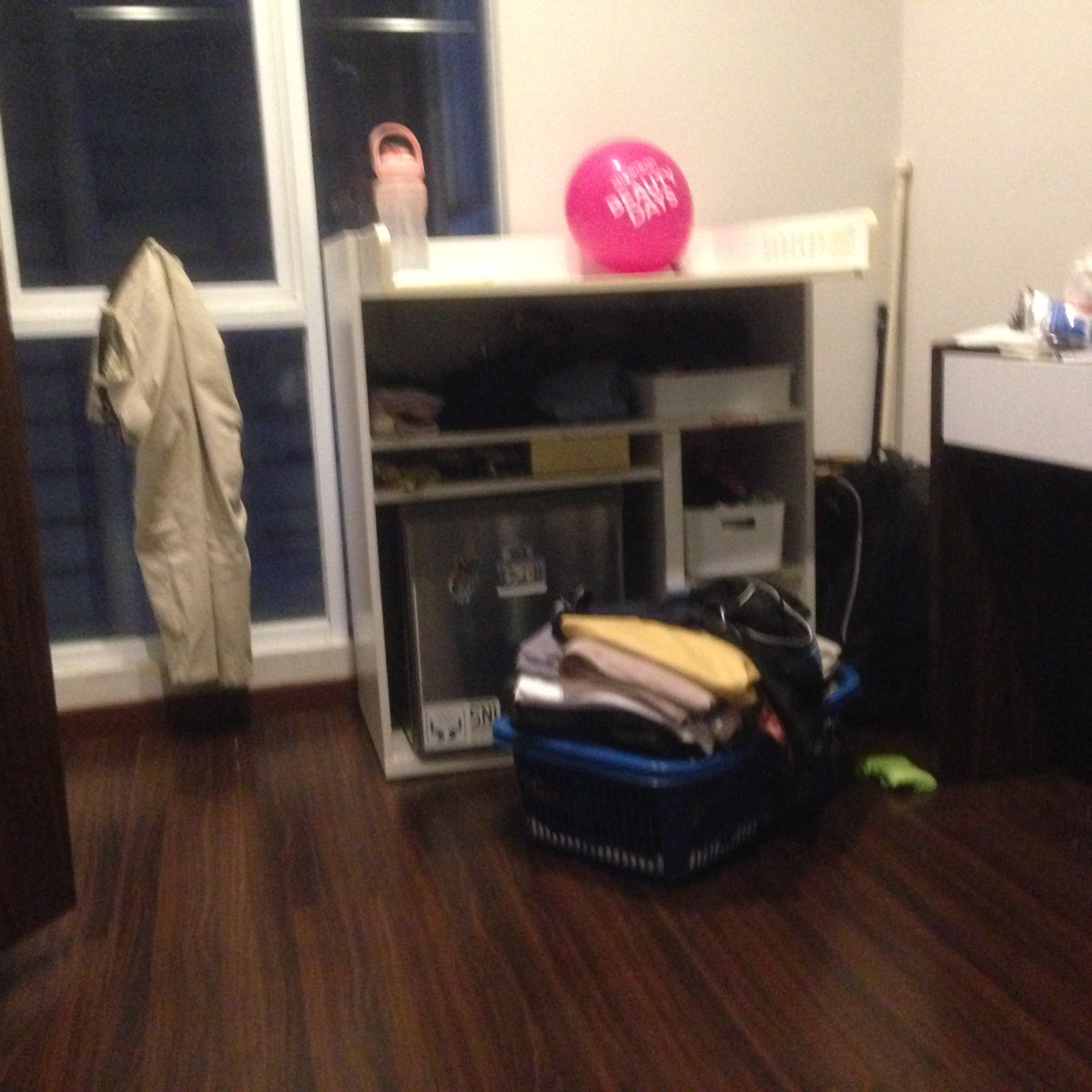 Bssgshhd#vpe💞💞🤸‍♀️🤸🏾‍♀️🍭🇵🇸❤️ a💕💓💞🐛🍊