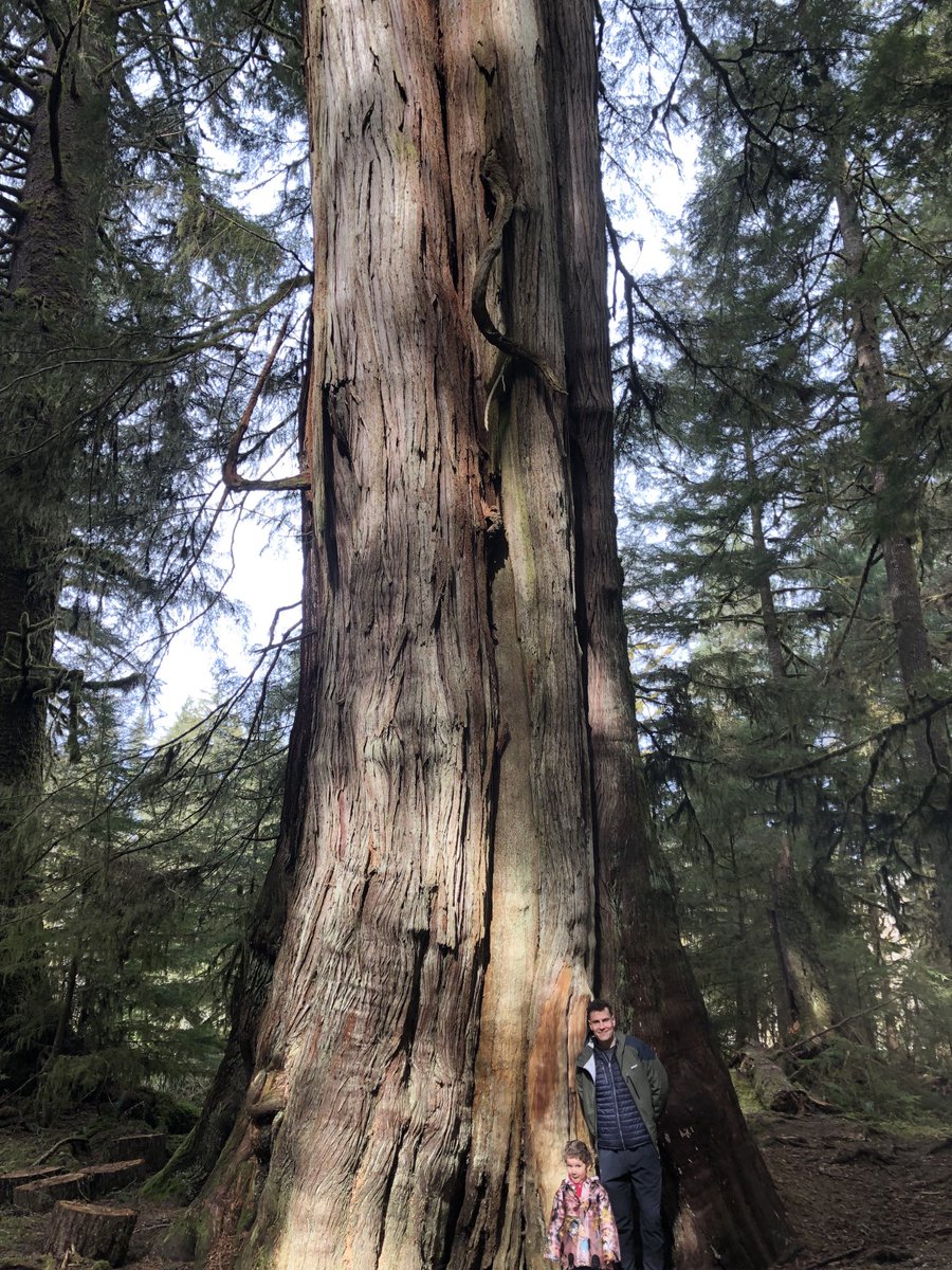 William Gye (@challengeme101) on Twitter photo 