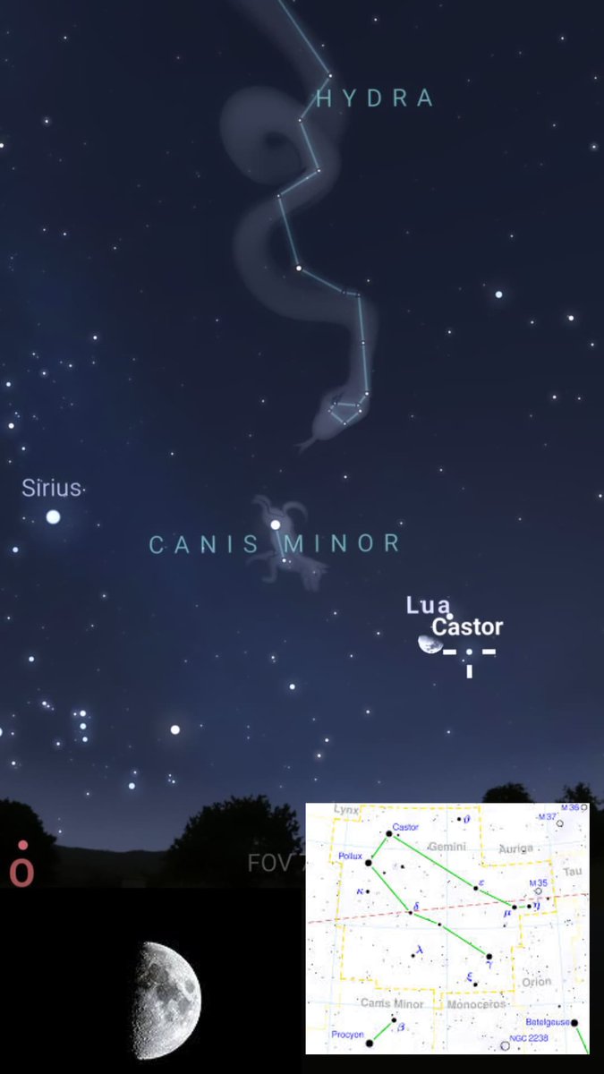 Grupo de astronomia da UFMG apresenta:
✨ Efemérides do dia 18/03/24 ✨
A Lua está em sua fase crescente e com visibilidade de ~68%. Ao seu lado a estrela Castor da constelação de Gemini está dando um show! E mais pra região Oeste, Sirius a estrela mais brilhante do céu noturno.
