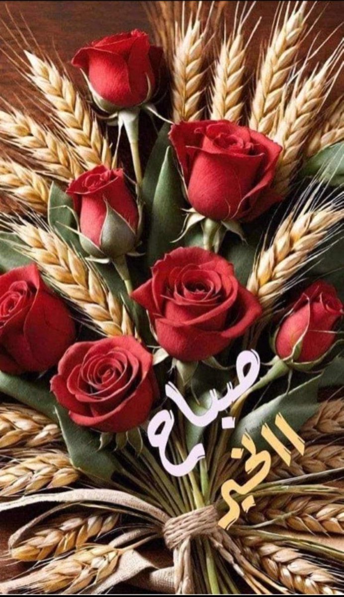 bd_tl39763's tweet photo. @ltz_hla https://t.co/kiNAx6utYa