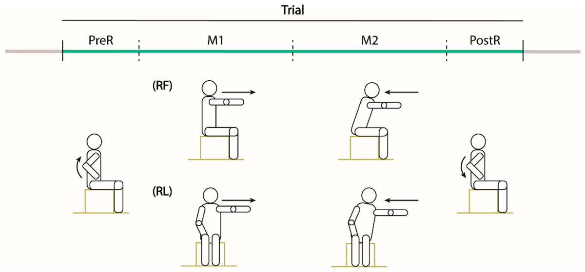 Sensors_MDPI's tweet image. #highlycitedpaper
Modified Functional Reach Test: Upper-Body Kinematics and Muscular Activity in Chronic Stroke Survivors
mdpi.com/1424-8220/22/1…
@UniGenova 
#trunkcontrol #sittingbalance #sEMG