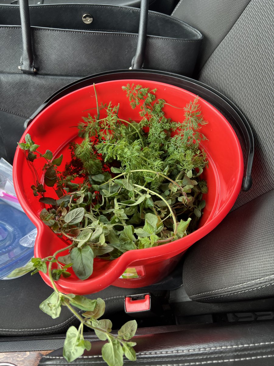 Erica Yoss tweet media