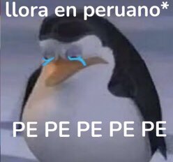 Figue123's tweet photo. @AndyR_402 @LeonBenLarregui https://t.co/Qh1vtPMgck