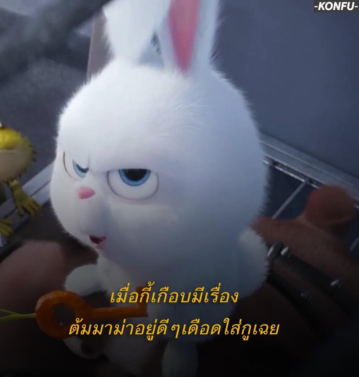 SoSeaman's tweet photo. ตกมั้งถะฝนเห้อ หญ้าวัวตายเหม็ดแล้วเด้ https://t.co/sGakbLnJzy