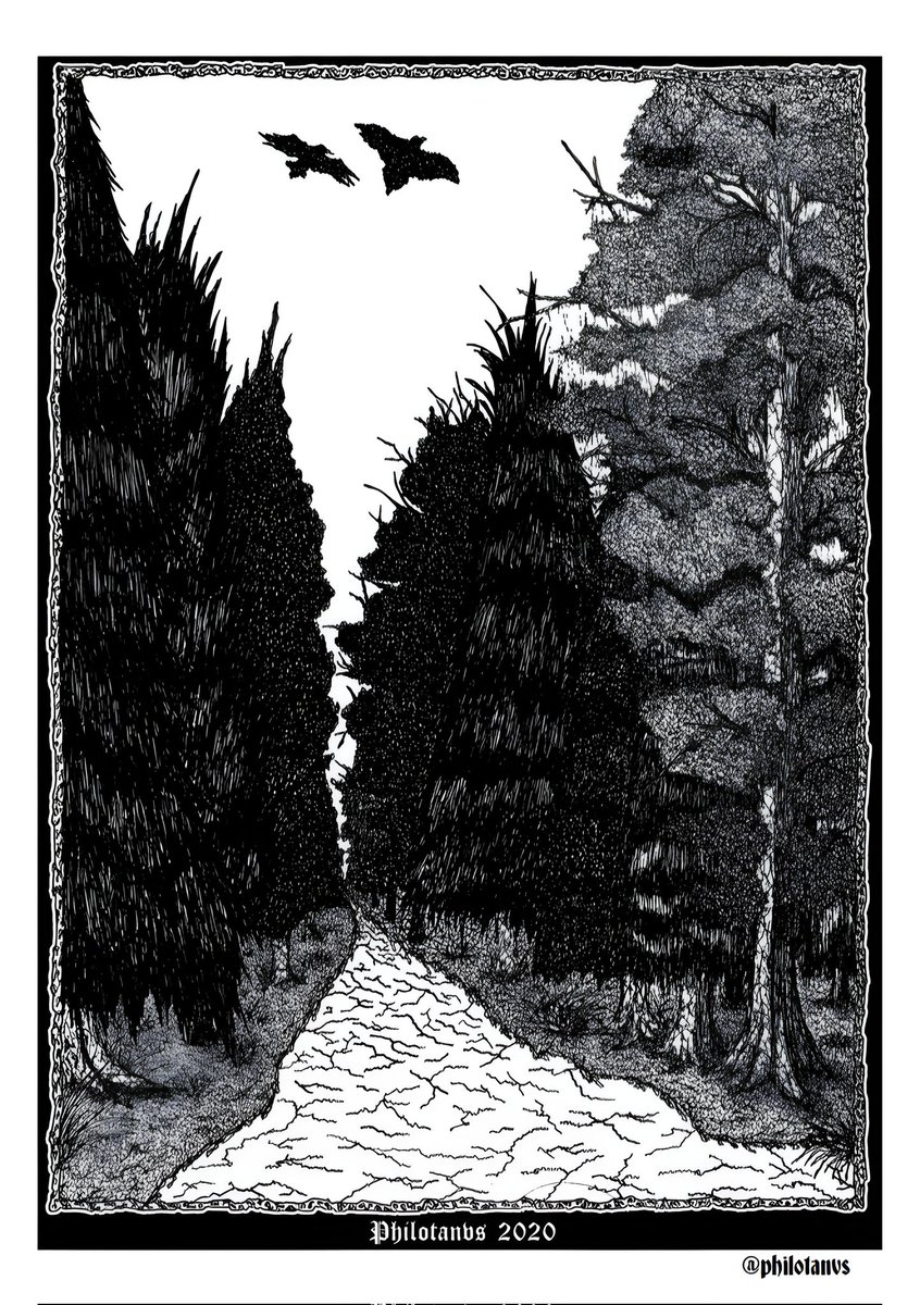 fertaapeef tweet media