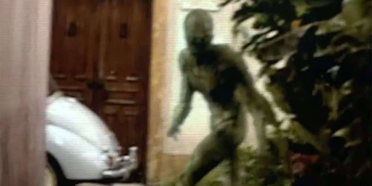 Carey O'Donnell tweet media