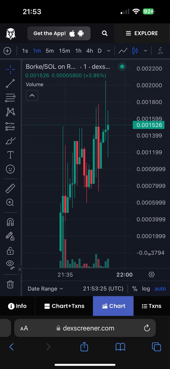 Borkeing Token on Solana tweet media