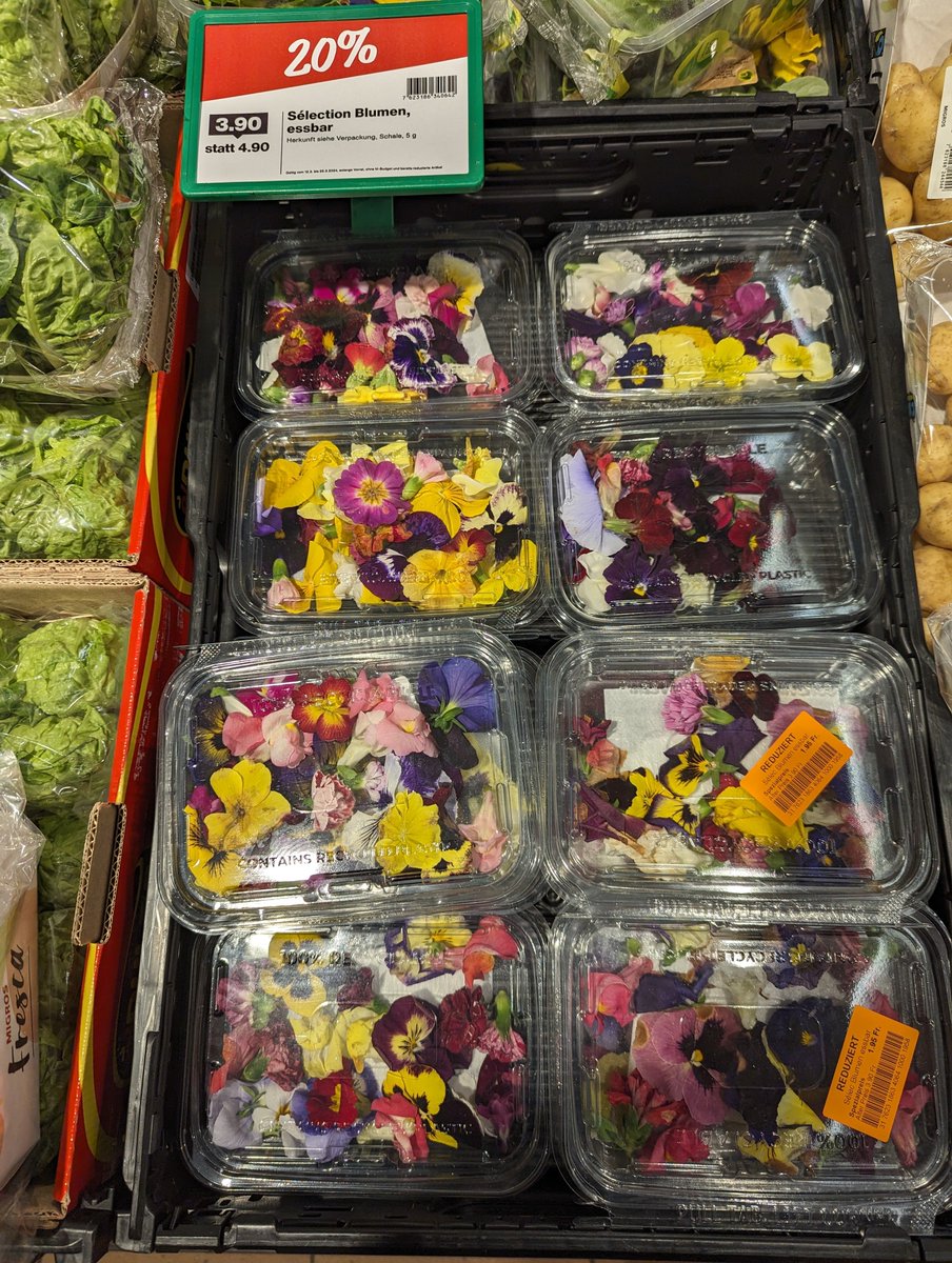 Anna Nachesa tweet media