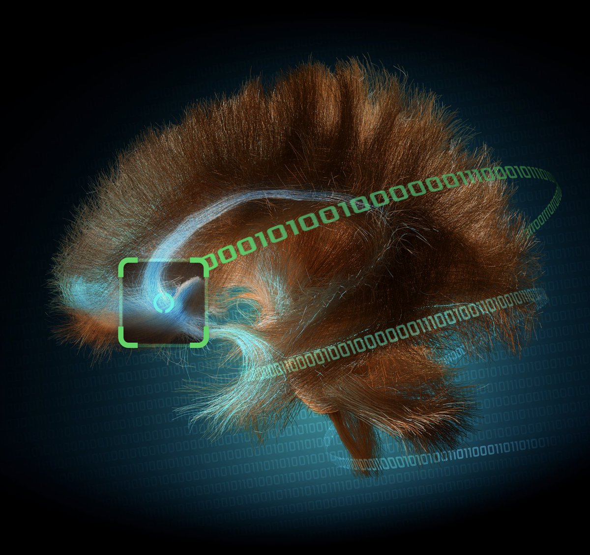 Friedman Brain Institute (@sinaibrain) on Twitter photo VISIT the Art of the Brain virtual exhibition & LEARN MORE about AMAZING "Depression Decoder", artist Mike Halerz's work in collab w/ Ki Sueng Choi <a href="/crozSciTech/">Christopher Rozell</a> & <a href="/HelenMaybergMD/">Helen Mayberg, MD</a>! VOTE NOW for #BAW2024 #ArtoftheBrain #CallforImages Image #7 Most 💟s wins! shorturl.at/fELRX VISIT the Art of the Brain virtual exhibition & LEARN MORE about AMAZING "Depression Decoder", artist Mike Halerz's work in collab w/ Ki Sueng Choi <a href="/crozSciTech/">Christopher Rozell</a> & <a href="/HelenMaybergMD/">Helen Mayberg, MD</a>! VOTE NOW for #BAW2024 #ArtoftheBrain #CallforImages Image #7 Most 💟s wins! shorturl.at/fELRX