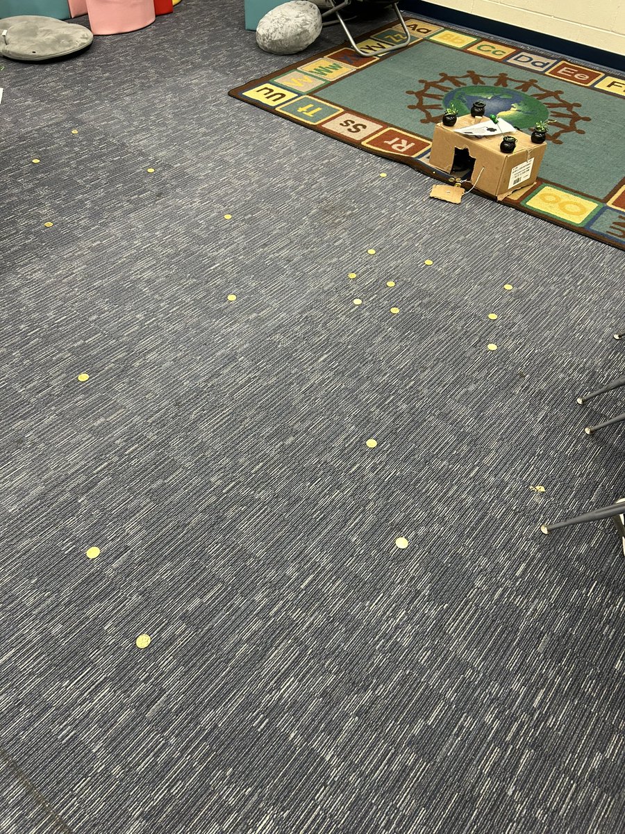 Zoe Sytsma tweet media