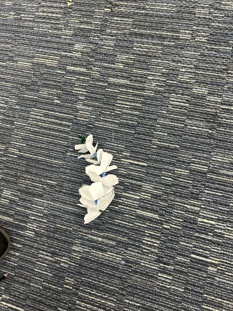 Zoe Sytsma tweet media