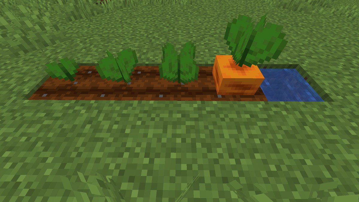 Bontiful tweet media