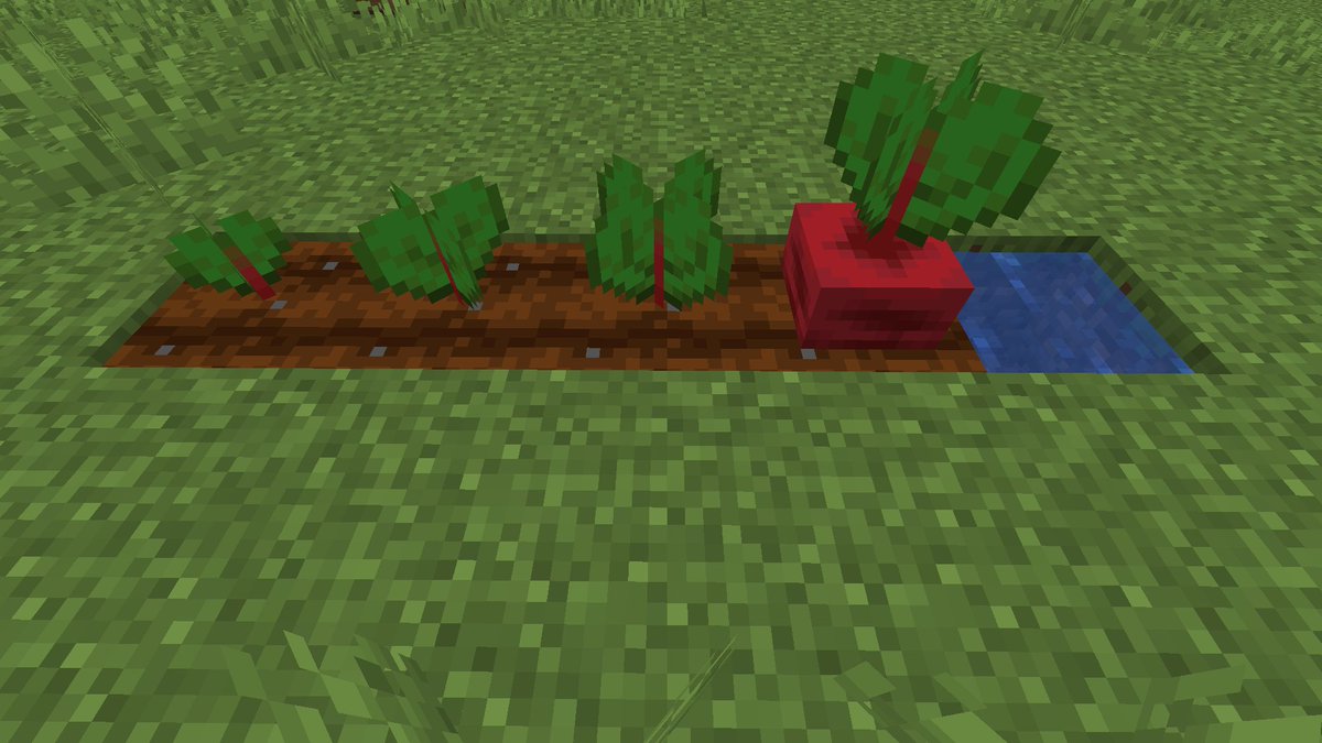 Bontiful tweet media