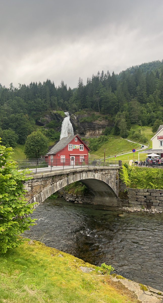 محمد البريكـــــي tweet media