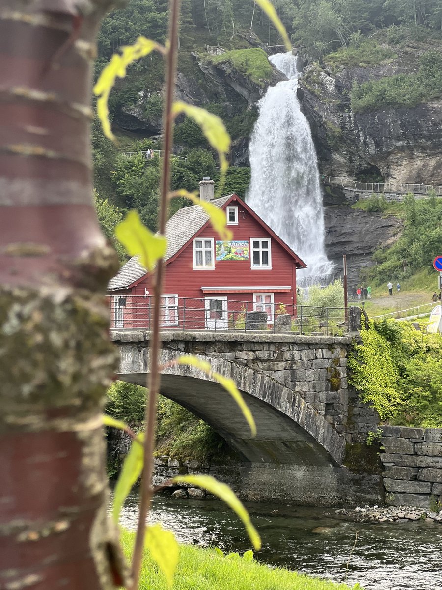 محمد البريكـــــي tweet media