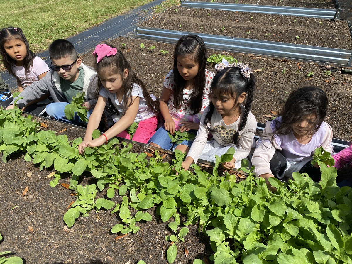 Mary Kroll tweet media