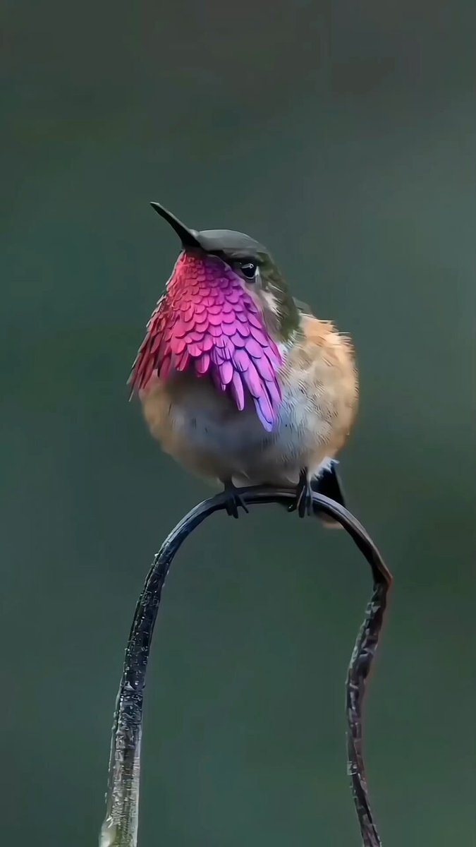 Beautiful Nature 😍👌

チャールズ国王