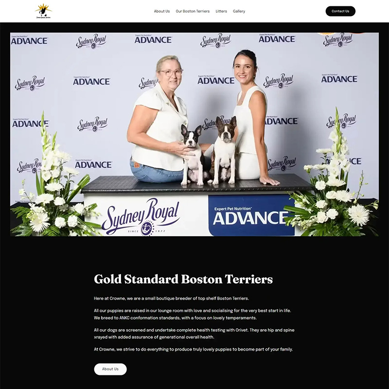breedpost's tweet image. 📷 Exciting News from Breedpost! 📷 We're thrilled to announce the launch of Crowne Boston Terriers' new website! Nestled in NSW, Australia, Crowne is a boutique breeder dedicated to producing top-shelf Boston Terriers. 📷
 crownebostonterriers.com
#bostonterriers #showdogs