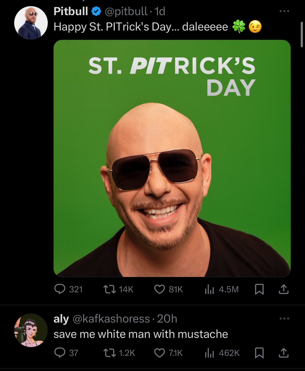 amybudzinski_'s tweet photo. @pitbull @lexual_activity https://t.co/RZ8vkUKQnC