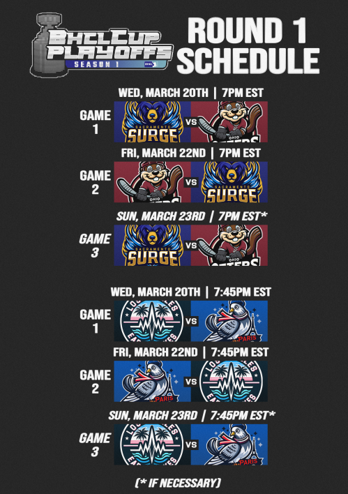 BlockeySportsMC's tweet photo. 🏒 PLAYOFF HOCKEY IS HERE!

The action kicks off tomorrow at 7:00PM EST, with the @SACSurgeBHCL &amp; @OttersBHCL going to battle in game 1 of their Bo3 series.

All games will be streamed on Blockey Sports Network (YouTube) https://t.co/d7gEPuMP9k