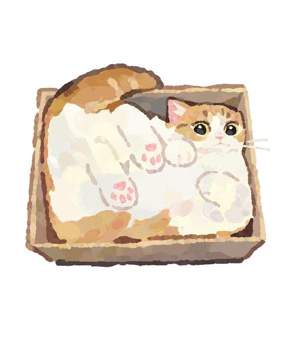 「パン」のTwitter画像/イラスト(人気順)