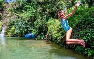 MinturCuba's tweet photo. 🌳🧗‍♀️La naturaleza de #Cuba es verdaderamente fascinante y ofrece la oportunidad de disfrutar de especies increíbles 🏞💖🕊🦚 en un entorno seguro. ¡Una  experiencia que te conectará más con la vida en la Tierra!#CubaUnica  ✅✅✅https://t.co/RnPUOAdOtj https://t.co/f4CRYuM4jc https://t.co/FKFo7BFZD1