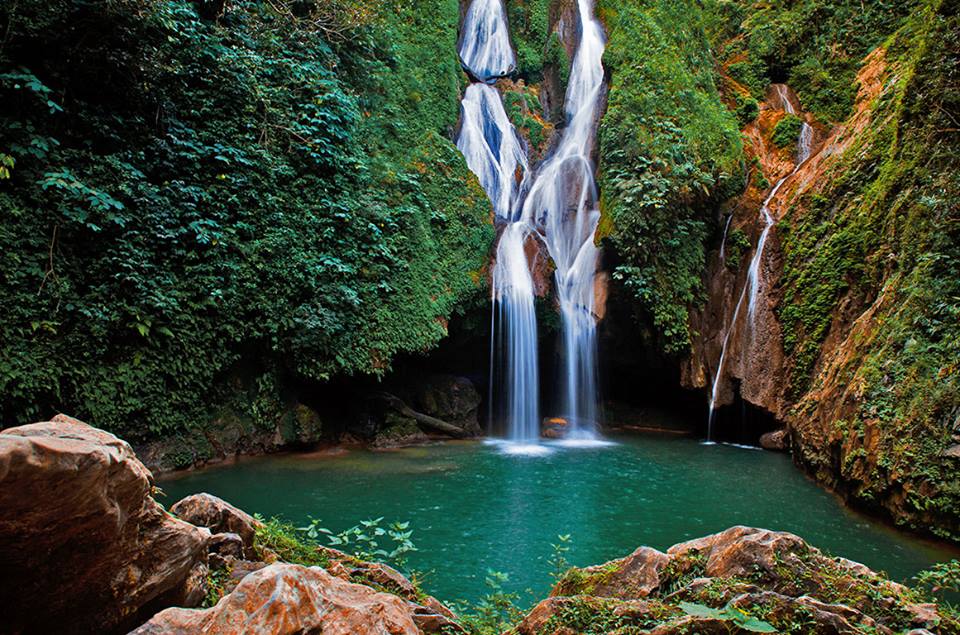 MinturCuba's tweet photo. 🌳🧗‍♀️La naturaleza de #Cuba es verdaderamente fascinante y ofrece la oportunidad de disfrutar de especies increíbles 🏞💖🕊🦚 en un entorno seguro. ¡Una  experiencia que te conectará más con la vida en la Tierra!#CubaUnica  ✅✅✅https://t.co/RnPUOAdOtj https://t.co/f4CRYuM4jc https://t.co/FKFo7BFZD1
