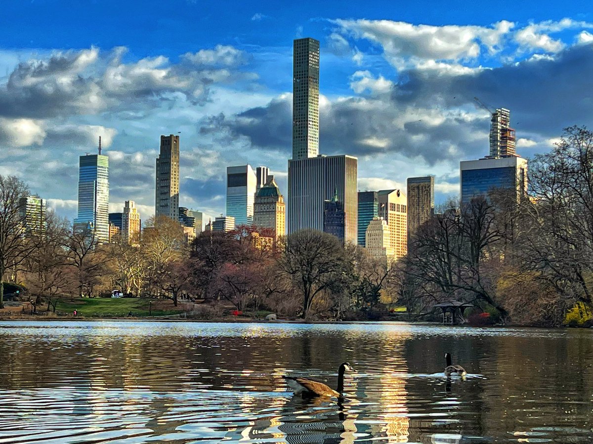 omardpal's tweet photo. Mondays!  Am I right?. 

#earlyspring #Spring #centralpark #NYCParks #CentralParkNYC #NYCViews #NYCPhotography #nbc4ny #abc7ny #fox5ny #imagesofnyc #newyork #ny1pic #picturesofnewyork #newyorkcity #nyc #cityscape https://t.co/77fs5pGZuU