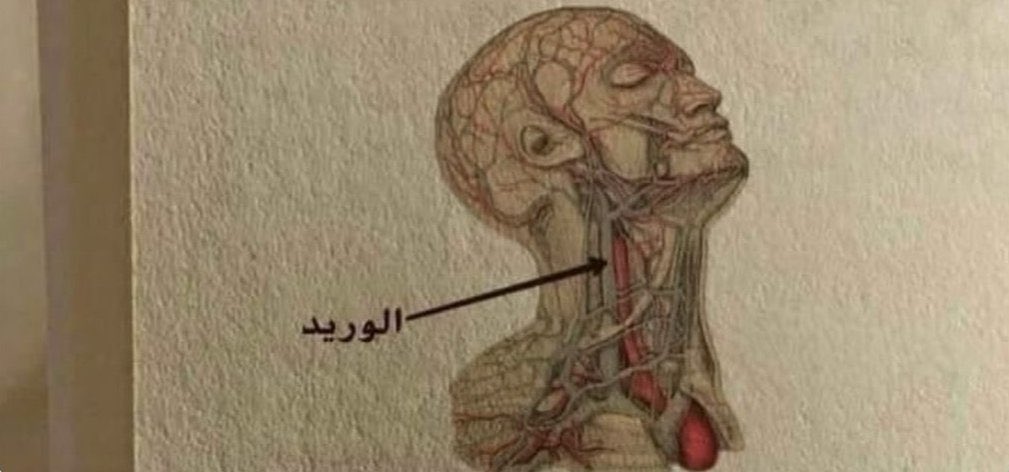 Çünkü biz ona şah damarından daha yakınız.
|Kaf 16|