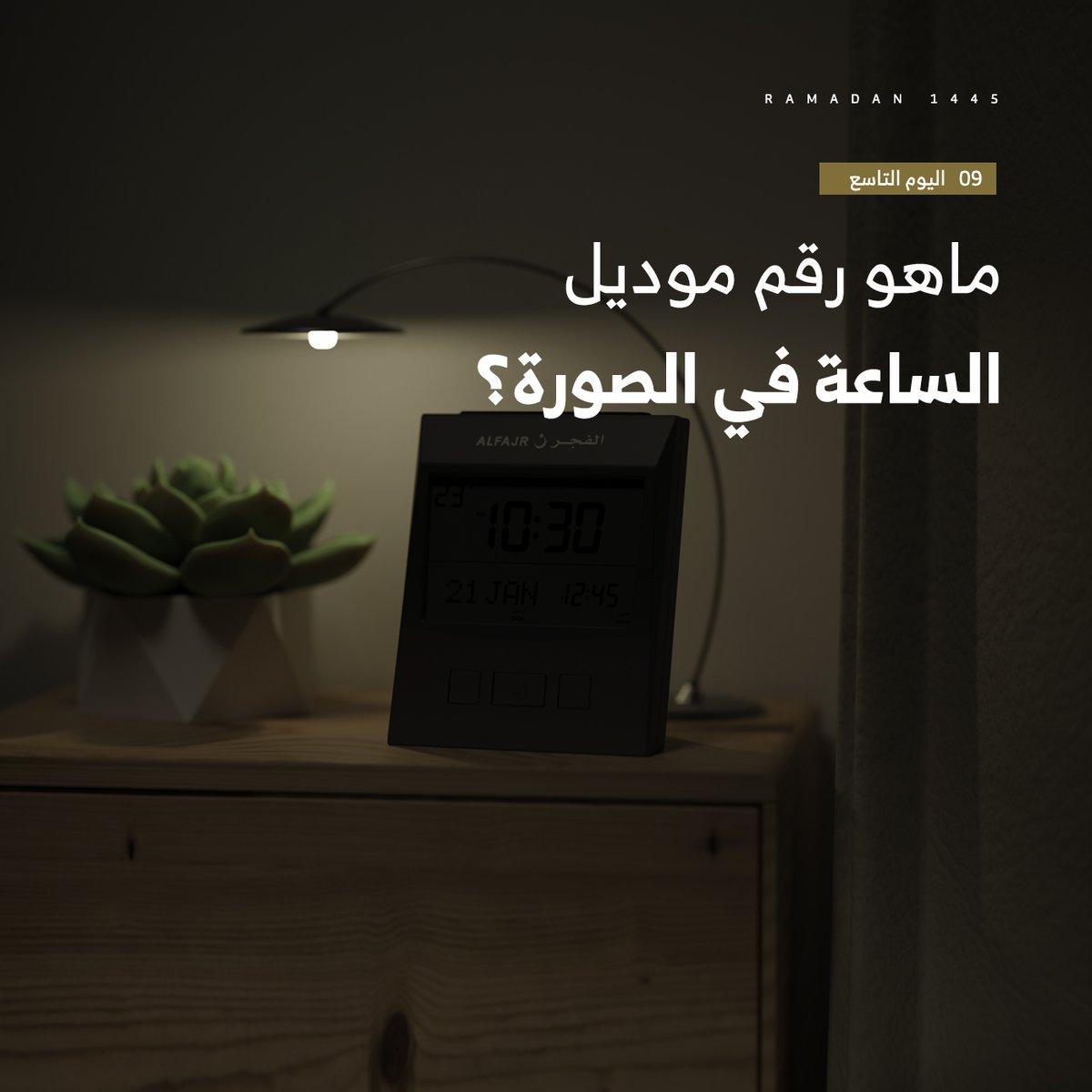 الفجر tweet media