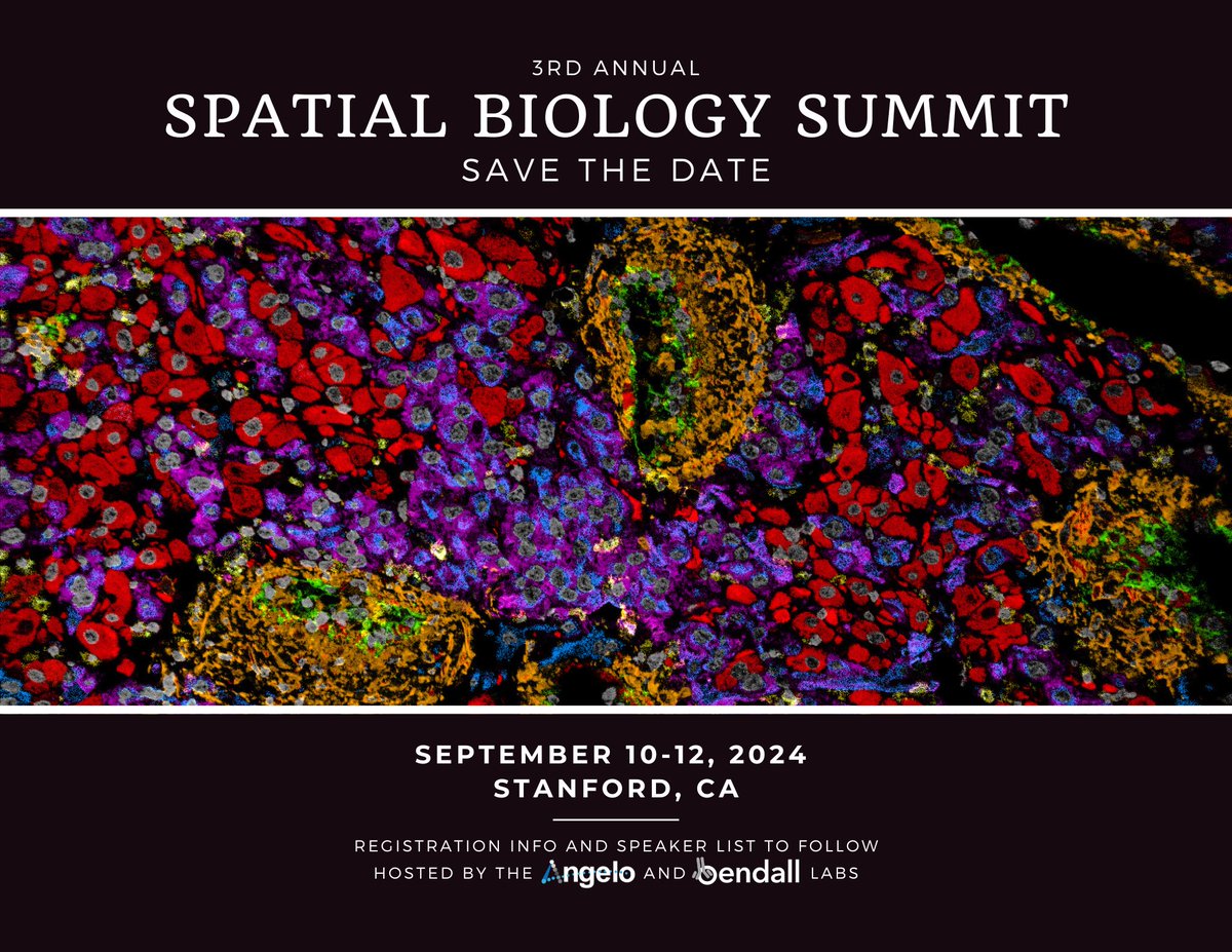 🚨🚨🚨The 3rd annual Spatial Biology Summit is set for Sept 10-12 at Stanford! Join us for talks by experts in MIBI, MSI, CODEX, IMC, Spatial Transcriptomics, computational methods, and more. Stay tuned for details! @MikeAngeloLab @Bendall_Lab @b_iologist @Walk14Cameron #sbs2024