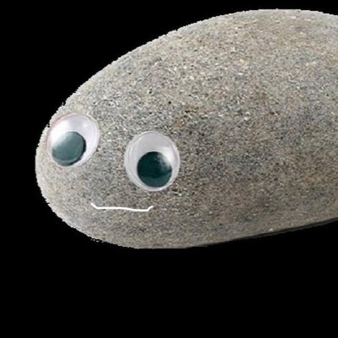 🪨⭐️Help Pet $Rock have a face by making a meme of him. @OnlyPetRock  The more meme we make of him, the<a href="/tag/giveaway"class="tags"><span>#giveaway</span></a><a href="/tag/casino"class="tags"><span>#casino</span></a><a href="/tag/bcgame"class="tags"><span>#bcgame</span></a>