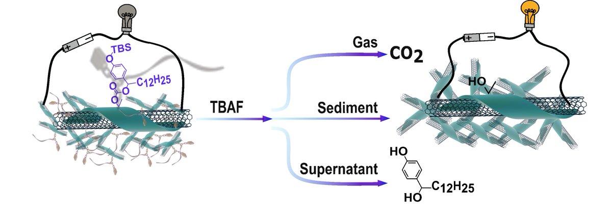 Happy to share my recent publication with Small! <a href="/AdronovGroup/">Adronov Group</a> 
Available online now. Check it out here:doi.org/10.1002/smll.2…