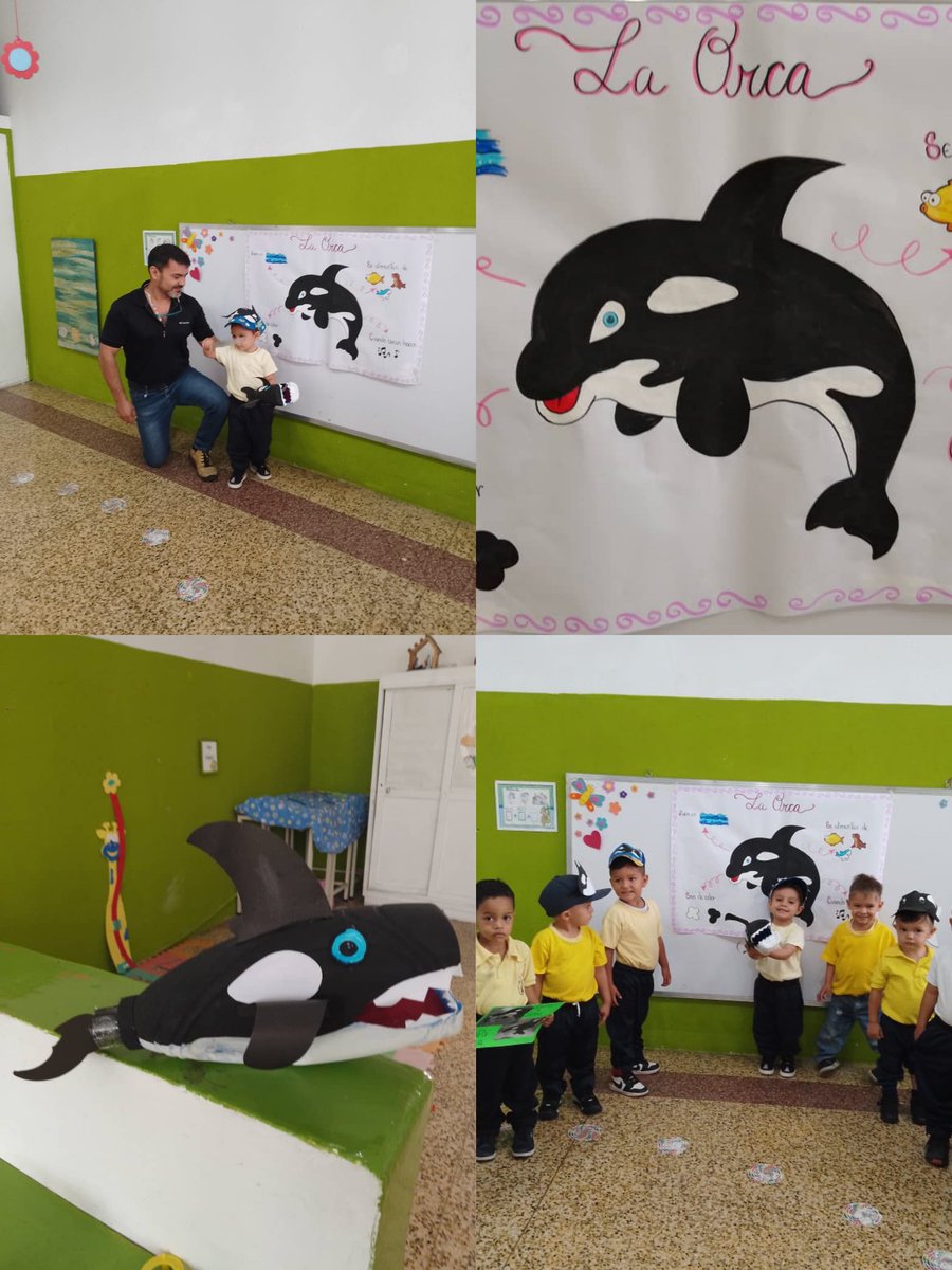 Exposición sobre la Orca por parte de maternal revista Tricolor <a href="/Berzabethg1/">Berzabethgandicaoficial</a>  <a href="/Div_Ini_Pri_Esp/">Divi. de Niños y Niñas ZET</a> <a href="/educinicialmppe/">Educación Inicial</a>
