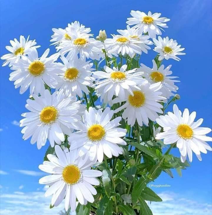 mustufaellahee's tweet photo. 🔴حدیث پاک صلی اللہ علیہ وآلہ وسلم 💞
💐♥️ عشرہ رحمت باری تعالی😘🌴💎
#AllahuAkbar #Quran114 #viralpost #blessoftheday #Muhammad #World46 #TwitterNatureCommunit #Mornings #Blessings #gg #mustaellahee #NAME #fb https://t.co/zTZHZBfEO6