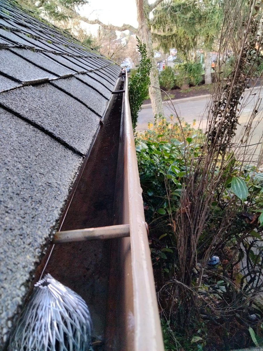soundcleaning's tweet image. ☀️Don't let the warm weather fool you! April showers are still on their way and clean gutters are your home's first line of defense against water damage. 🌷

📞Get a free estimate today: soundclean.com/#request-quote

#GutterCleaning #SpringMaintenance