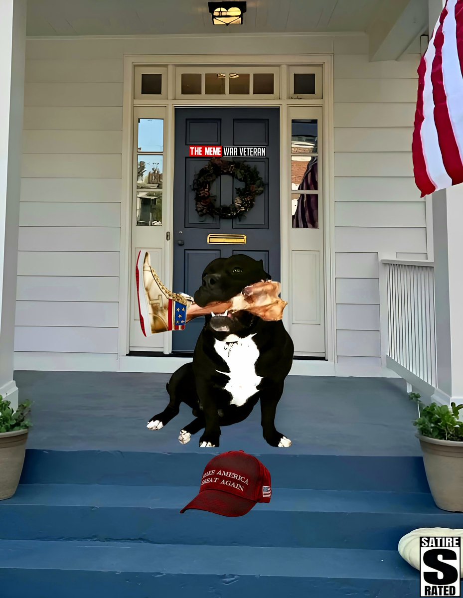 Truthfreedom23's tweet photo. @SassyKadiK I let my dog take care of them https://t.co/O2i6Tg3q8z