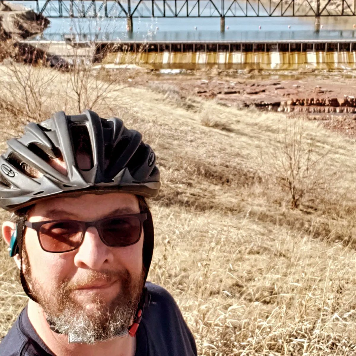 Midnight tweet media