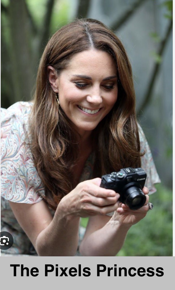 NoKingCharlie's tweet photo. #princessofwales #PrincessDiana #pixelsprincess #katemiddleton #KateGate https://t.co/offmjKIoCN