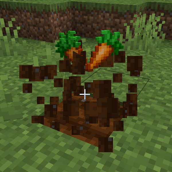 Bontiful tweet media