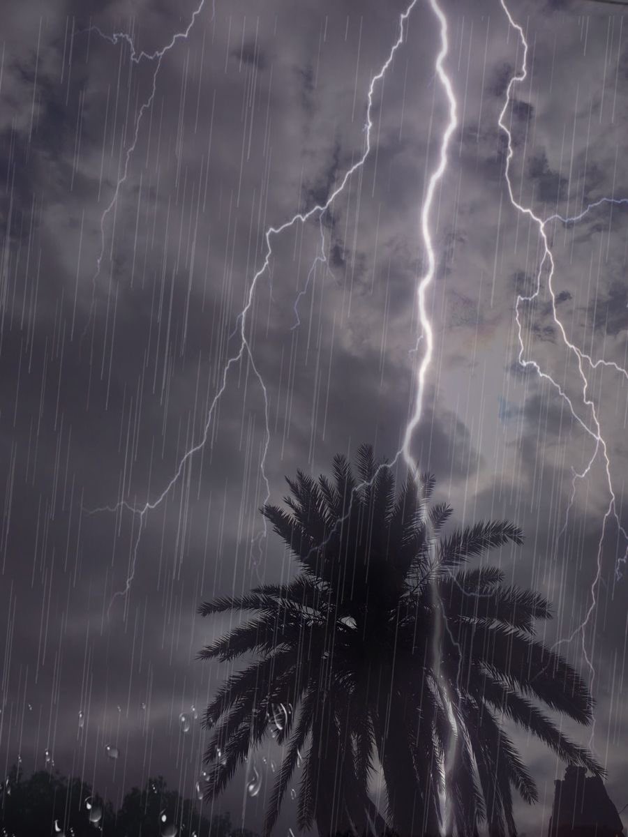 sbabra1's tweet photo. #المدينه_المنوره

هناكم الحيا يأهل المدينه …⛈️🌧️ https://t.co/dt2UCBkv9n