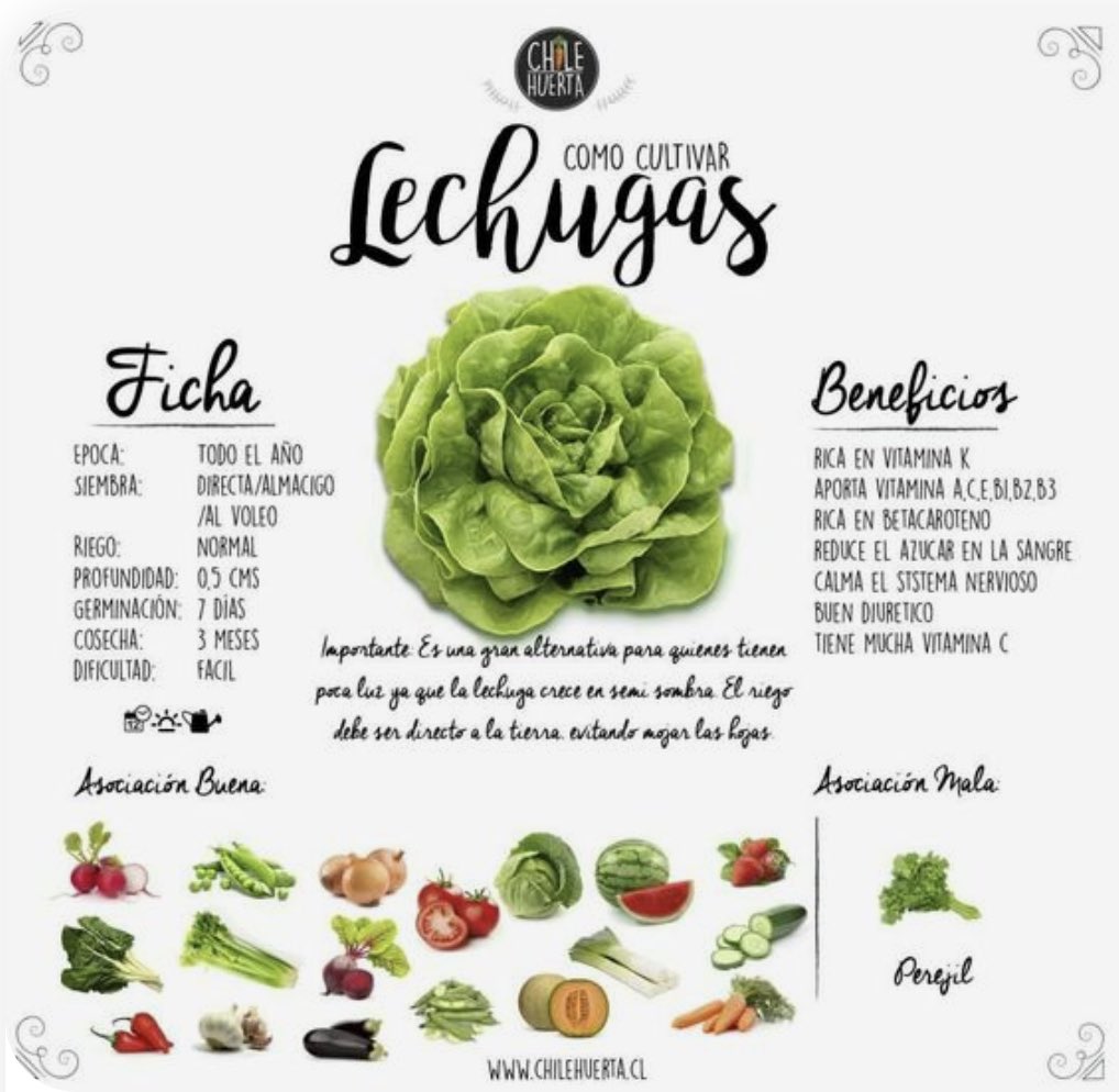 Chile Huerta tweet media