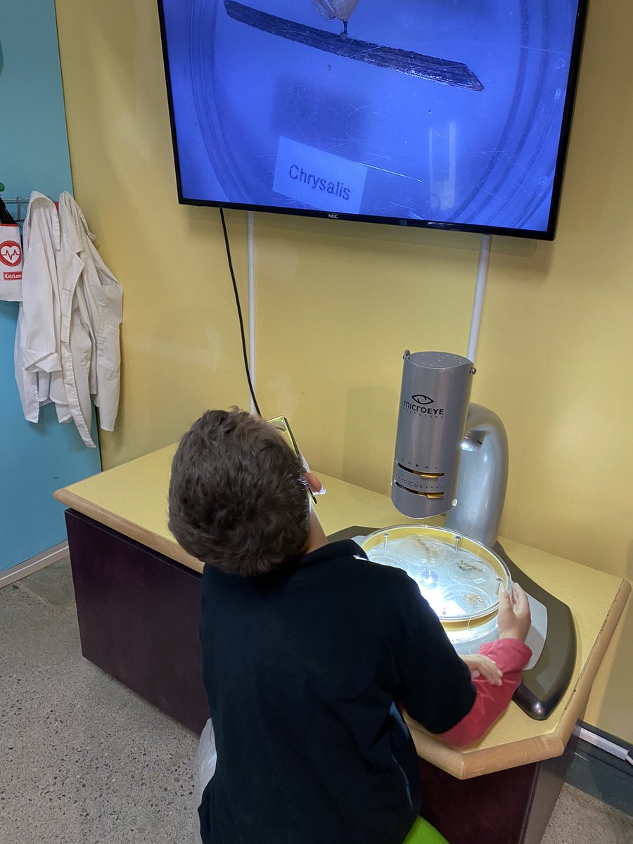 JustineReat's tweet photo. 2nd grade had a blast at the Muse today! https://t.co/X0jY8QEB9n