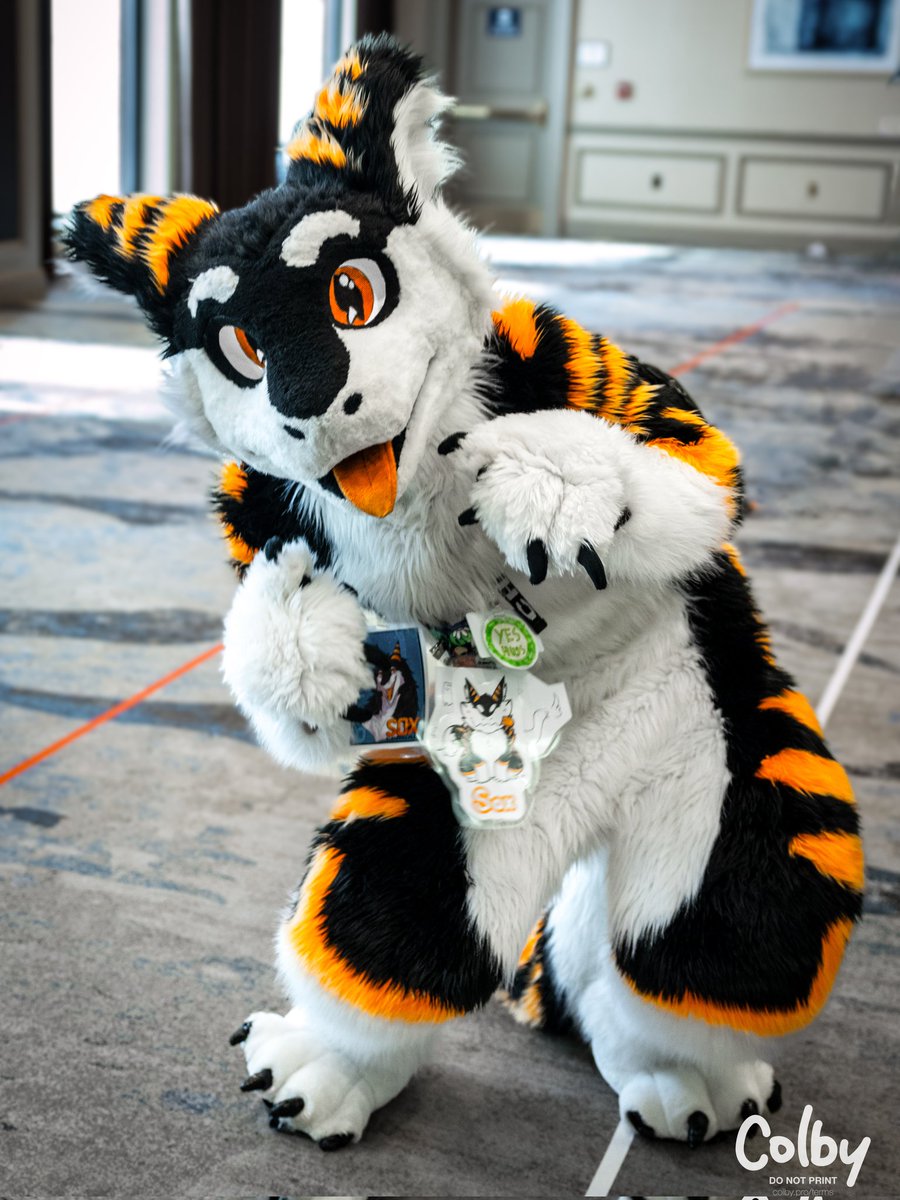 SilySox's tweet photo. Thank you @FurryFiesta for so many amazing memories! I had so much fun interacting with so many awesome people!
Hope everyone gets home safe!! :>
#TFF24 #TFF2024 #furry #fursuit https://t.co/q7WYLaCy4d