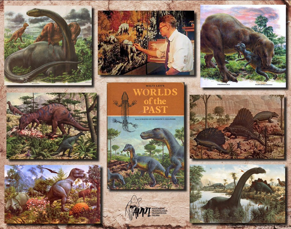 #LunedìdellaPaleoarte "classic" questa settimana con Rudolph Zallinger 🦖🎨
Le sue opere più importanti includono il suo murale The Age of Reptiles (1947) e la March of Progress (1965). 
#Godzilla