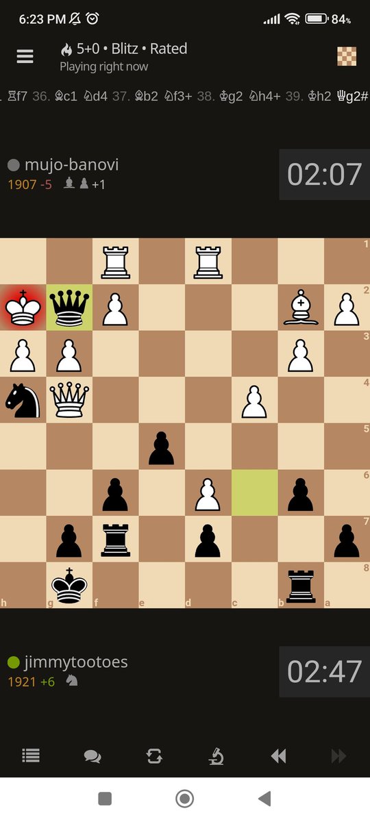 A beautiful checkmate...