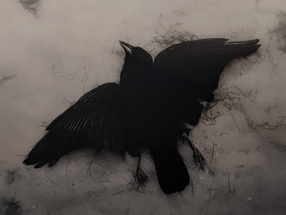 𝐃𝐫𝐚𝐜𝐨. (@amothersrevenge) on Twitter photo 